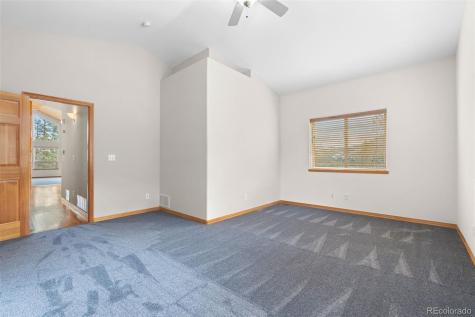 29004 Amerind Springs Pine CO 80470