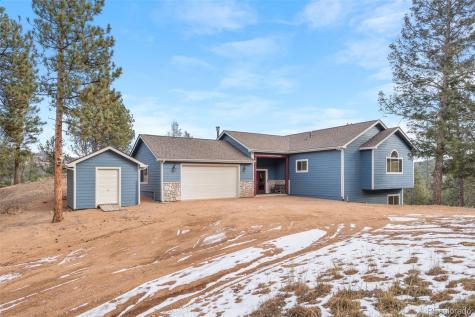 29004 Amerind Springs Pine CO 80470