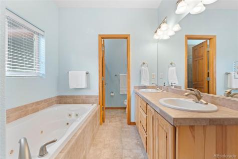 29004 Amerind Springs Pine CO 80470