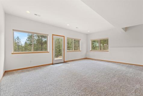 29004 Amerind Springs Pine CO 80470