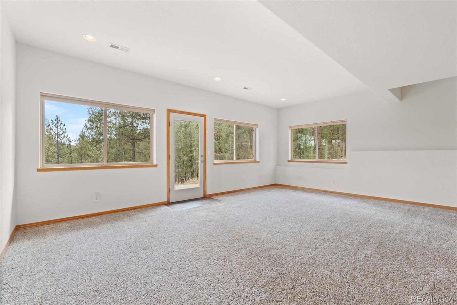 29004 Amerind Springs Pine CO 80470