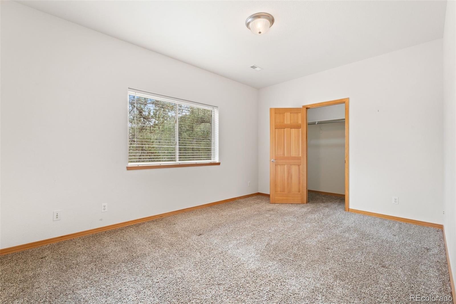 29004 Amerind Springs Pine CO 80470