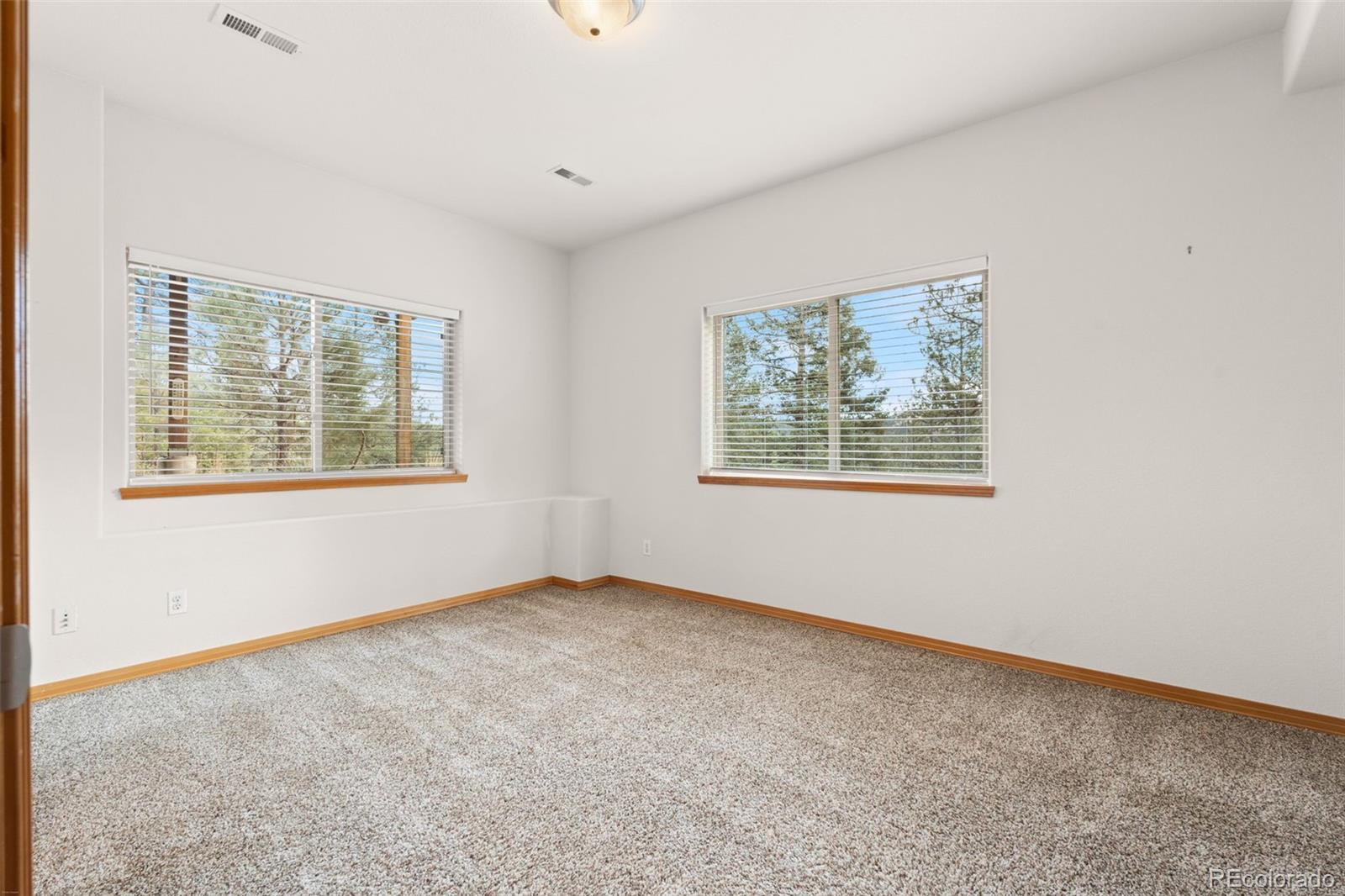 29004 Amerind Springs Pine CO 80470