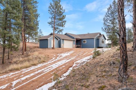 29004 Amerind Springs Pine CO 80470