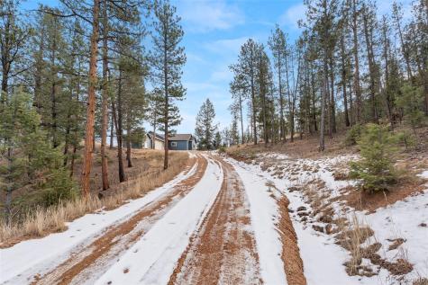29004 Amerind Springs Pine CO 80470