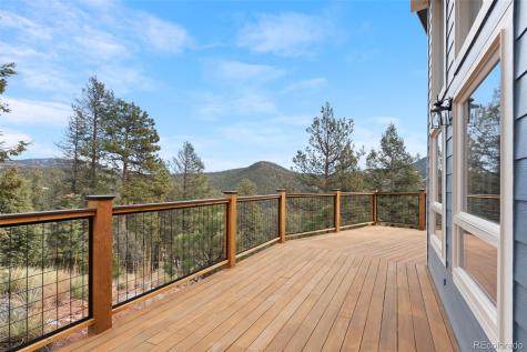 29004 Amerind Springs Pine CO 80470