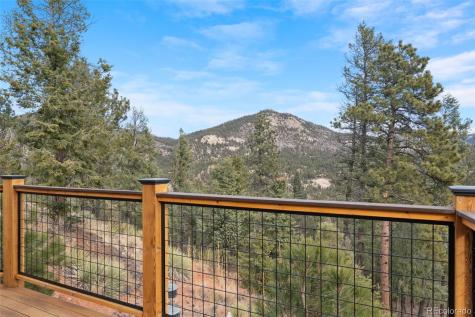 29004 Amerind Springs Pine CO 80470