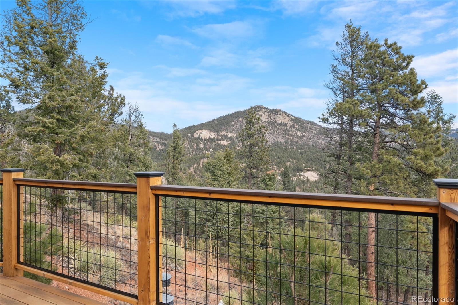 29004 Amerind Springs Pine CO 80470