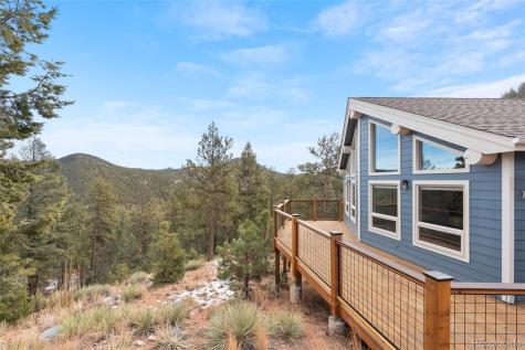 29004 Amerind Springs Pine CO 80470