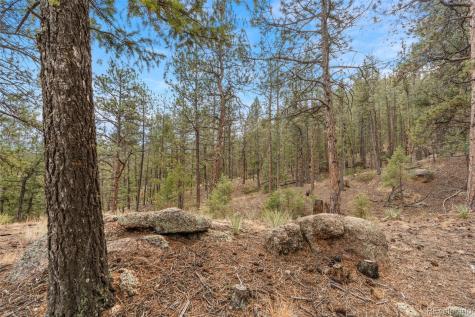 29004 Amerind Springs Pine CO 80470