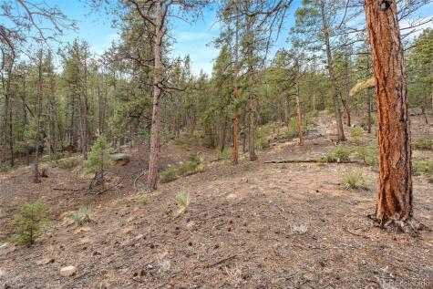 29004 Amerind Springs Pine CO 80470