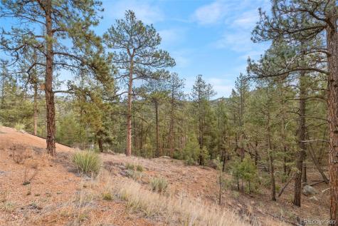 29004 Amerind Springs Pine CO 80470
