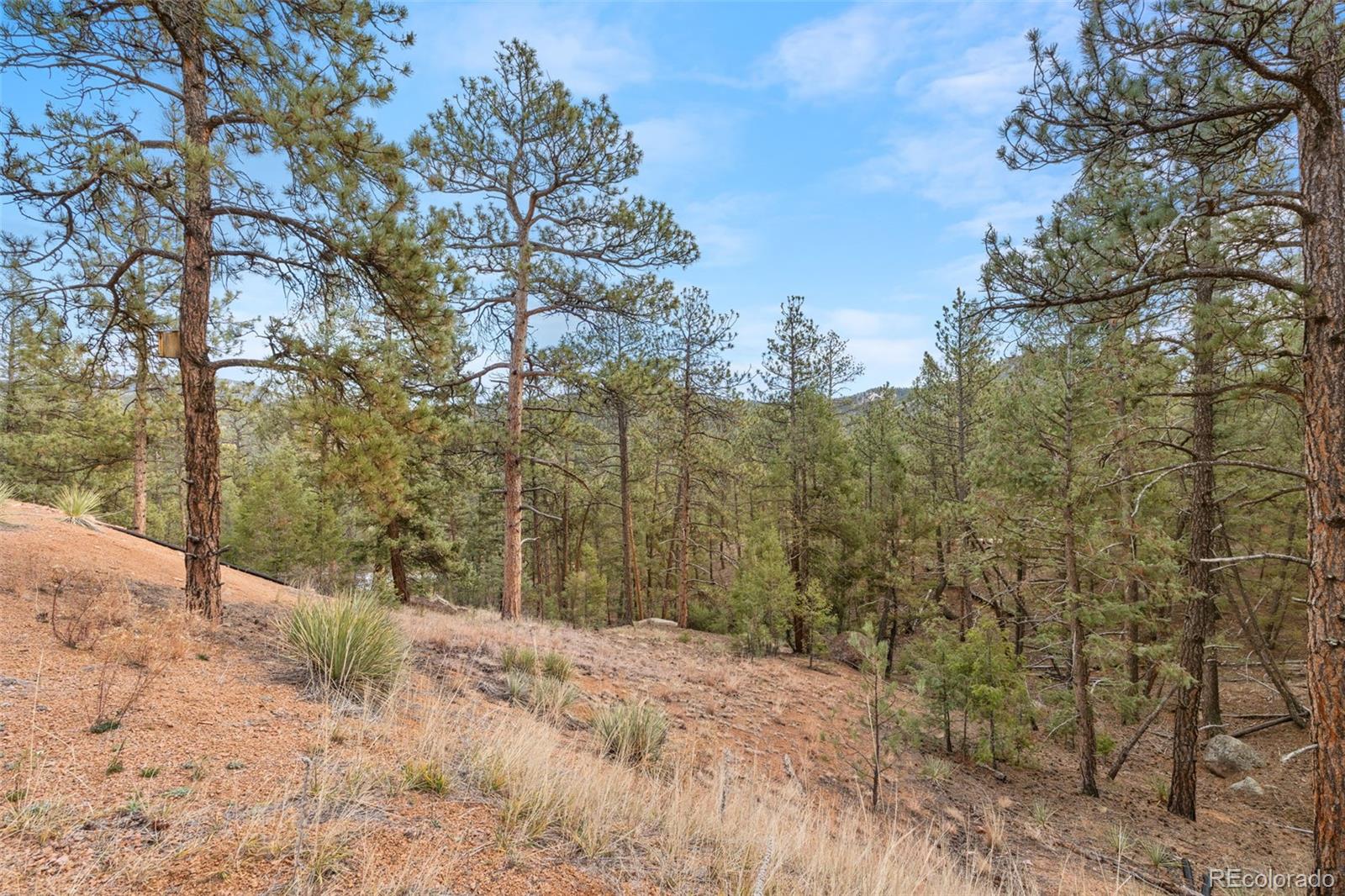 29004 Amerind Springs Pine CO 80470
