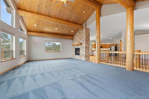 29004 Amerind Springs Pine CO 80470