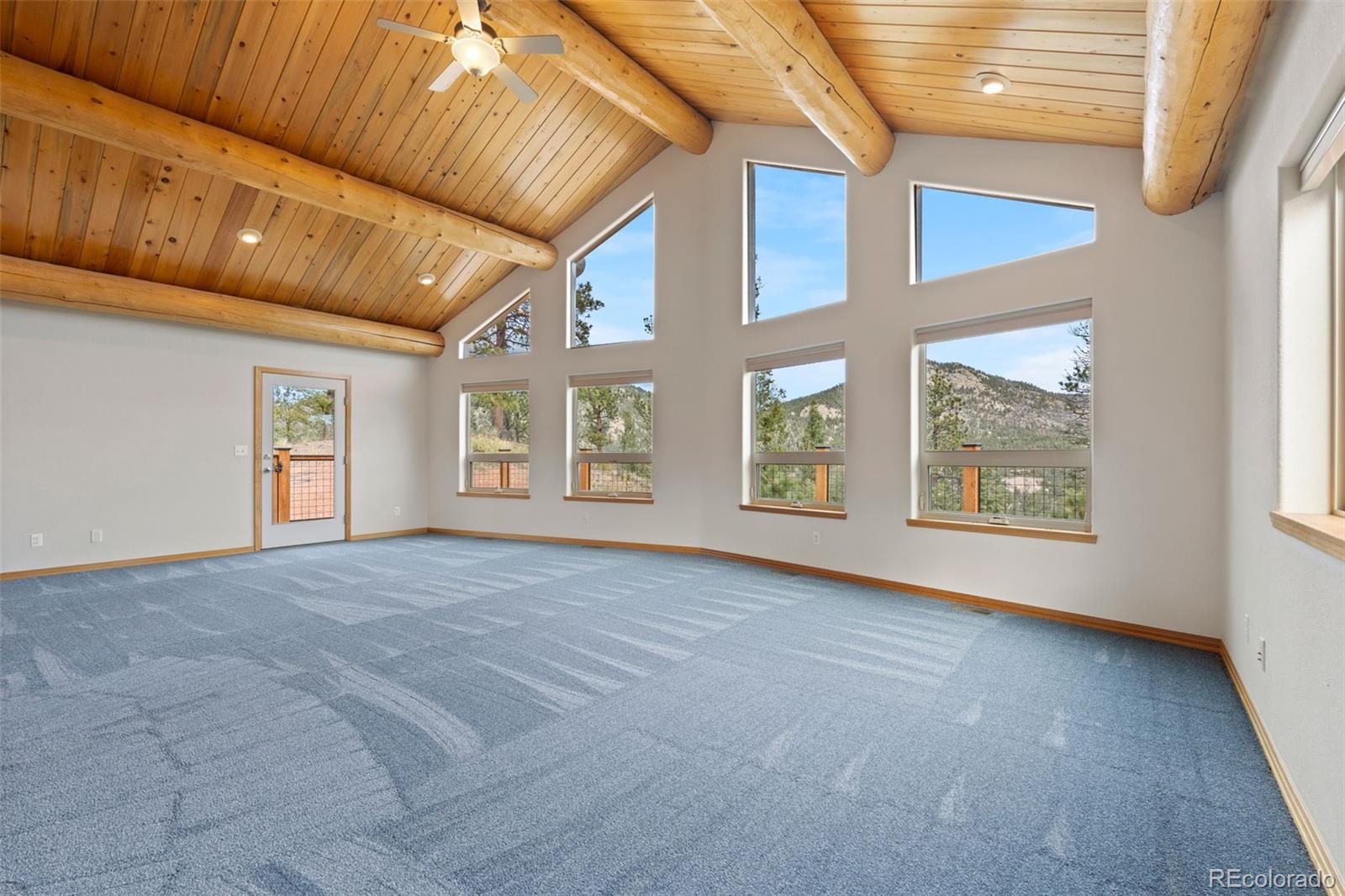 29004 Amerind Springs Pine CO 80470