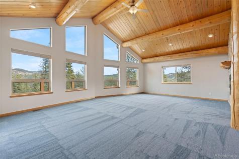 29004 Amerind Springs Pine CO 80470