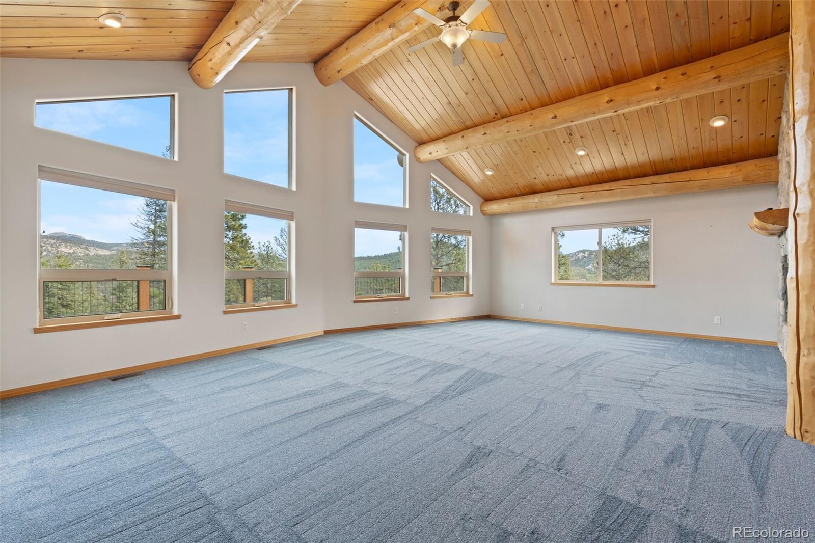 29004 Amerind Springs Pine CO 80470