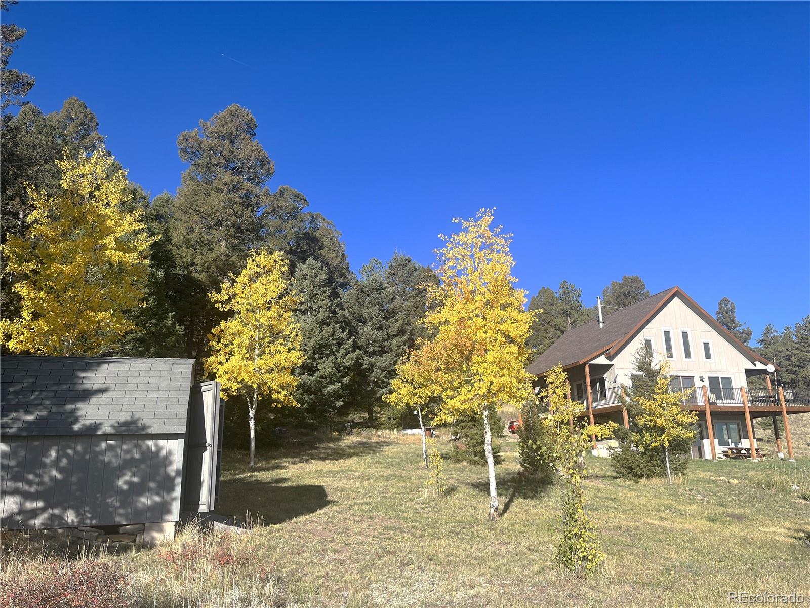 1007 Hereford Drive Hartsel CO 80449