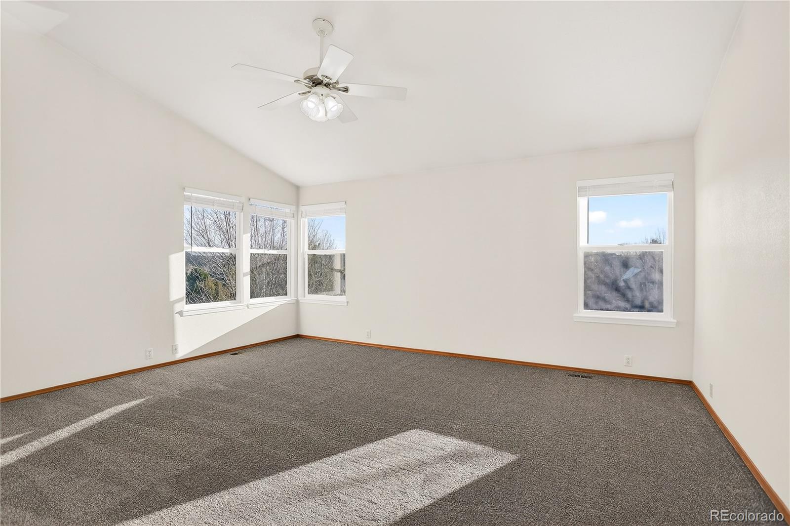 4830 Bluesky Drive Castle Rock CO 80109
