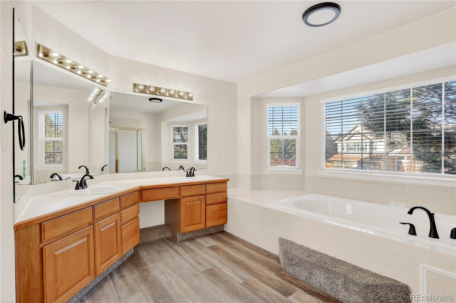 4830 Bluesky Drive Castle Rock CO 80109