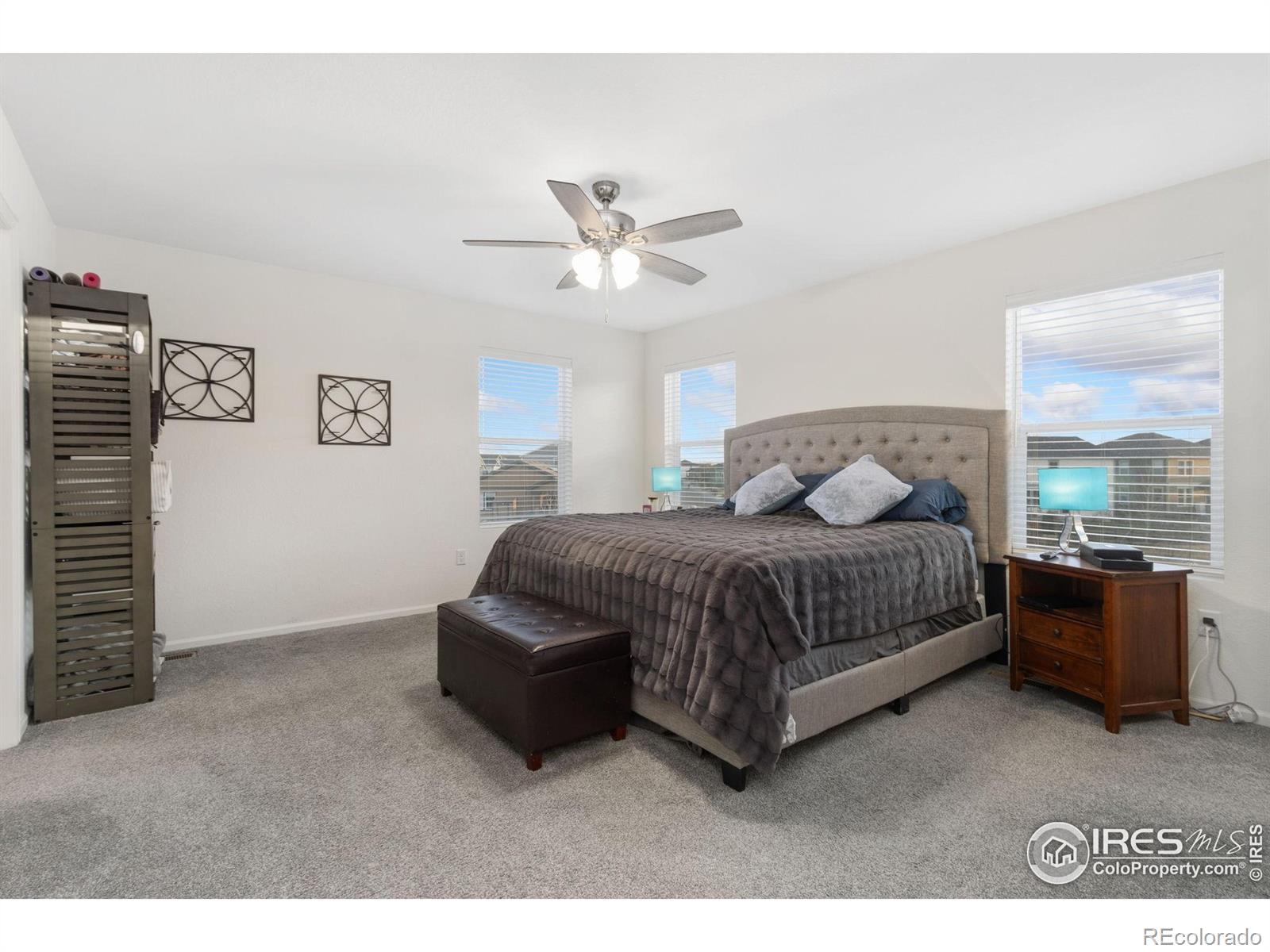 3202 Loomis Lake Court Loveland CO 80538