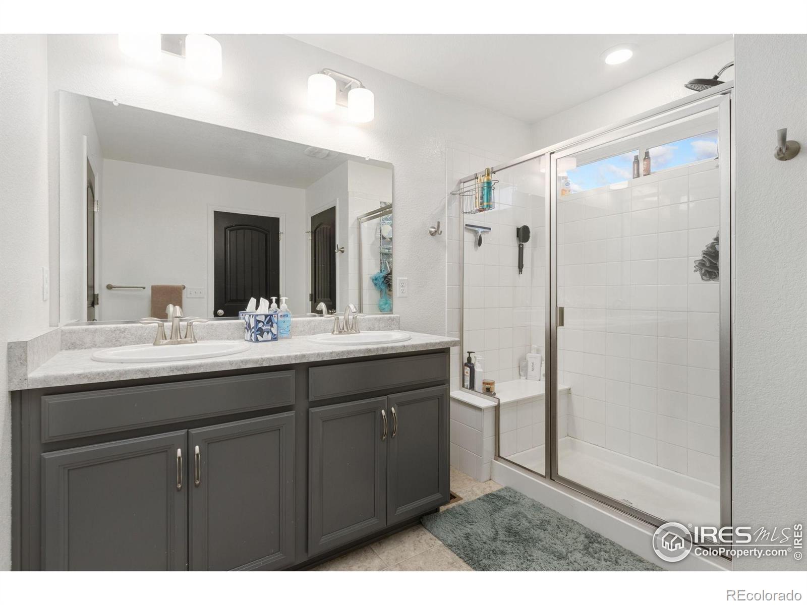 3202 Loomis Lake Court Loveland CO 80538
