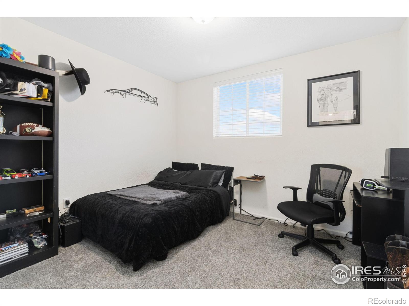 3202 Loomis Lake Court Loveland CO 80538