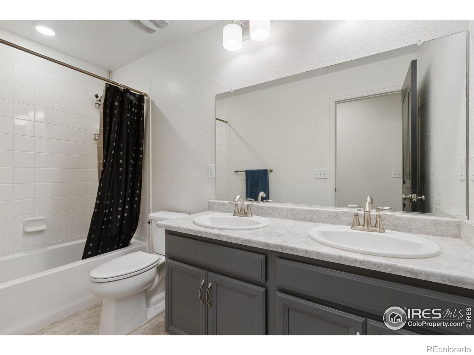 3202 Loomis Lake Court Loveland CO 80538
