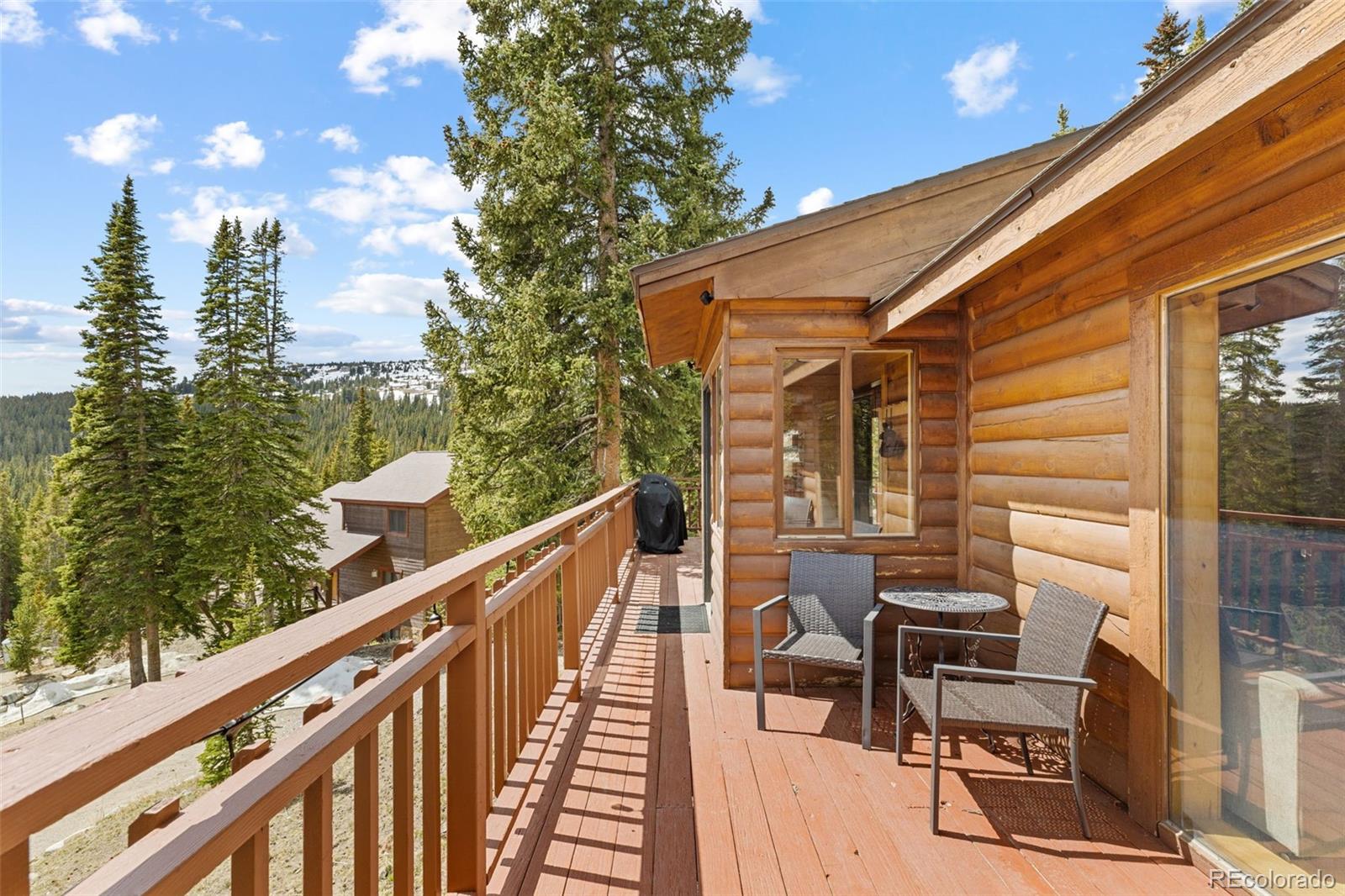 231 Kimmes Lane Breckenridge CO 80424