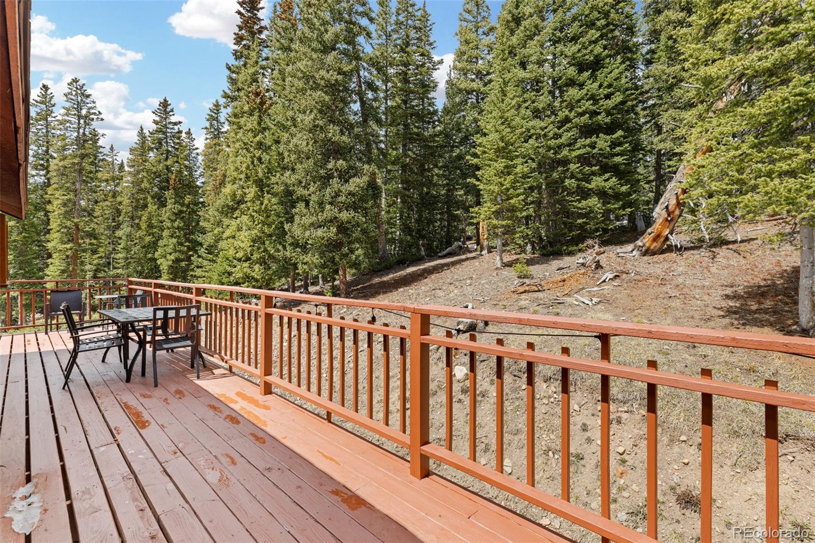 231 Kimmes Lane Breckenridge CO 80424