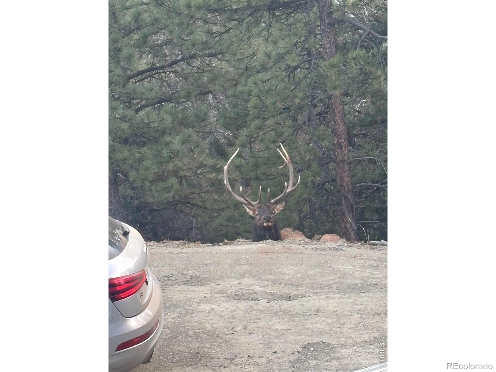 1406 Pika Road Boulder CO 80302