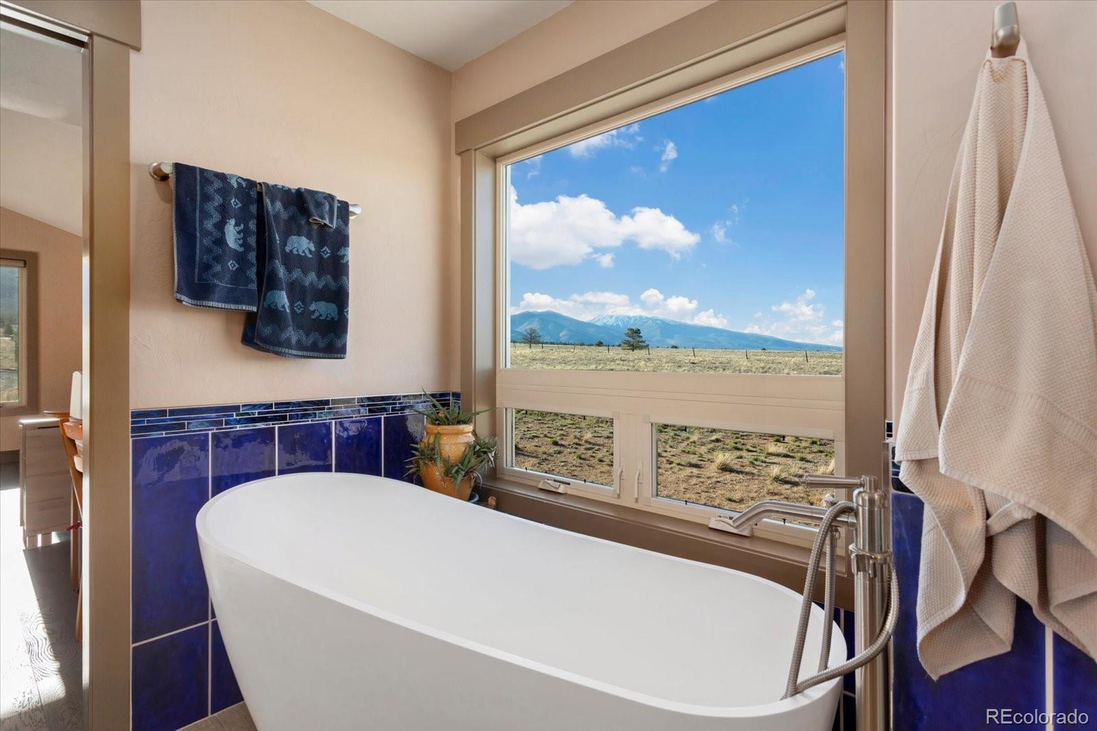 14543 N Stagecoach Lane Buena Vista CO 81211