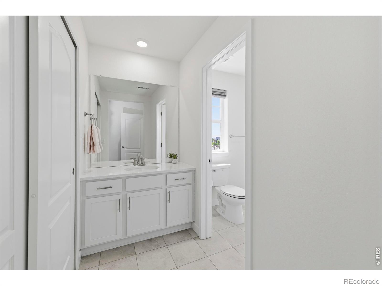 2910 Water View Street Timnath CO 80547