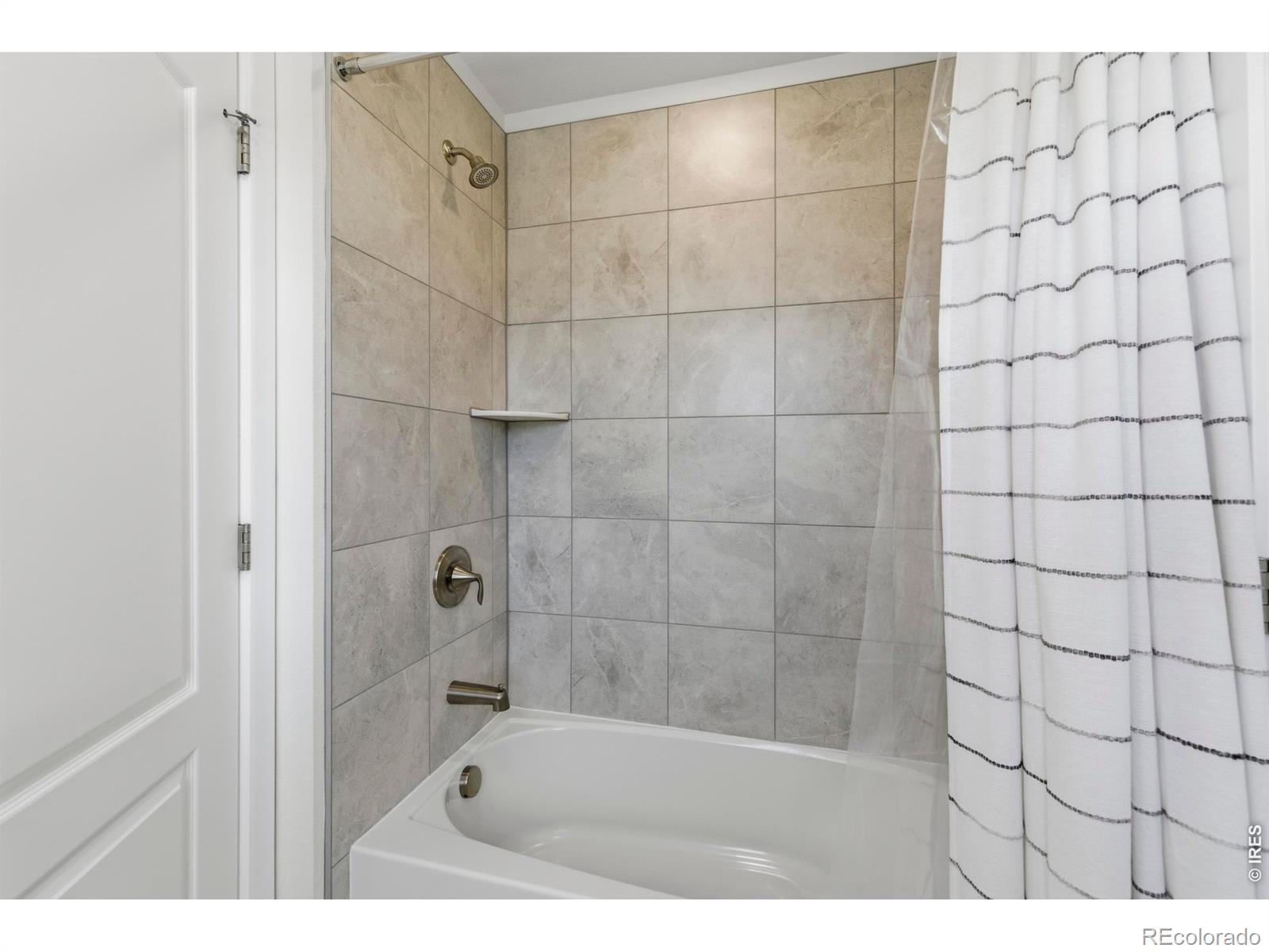 2910 Water View Street Timnath CO 80547