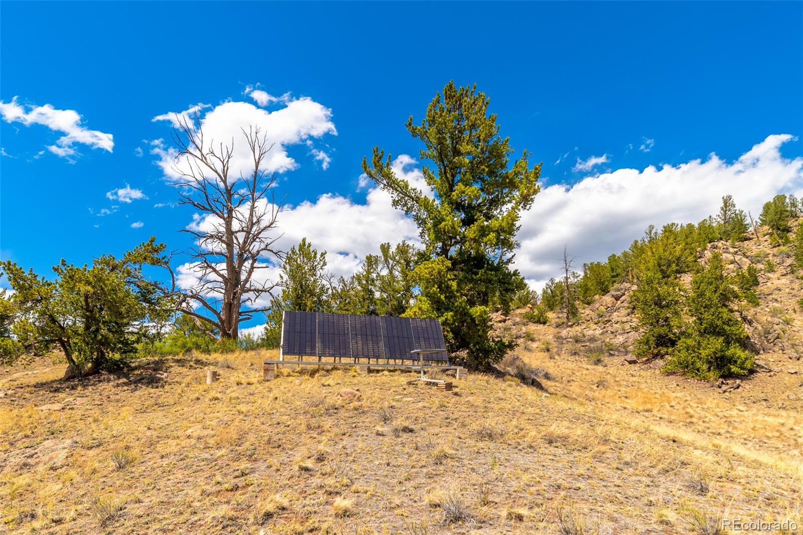 1819 Snyder Creek Road Jefferson CO 80456