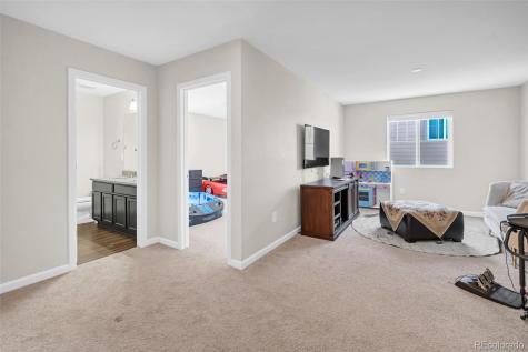 2299 Villageview Lane Castle Rock CO 80104