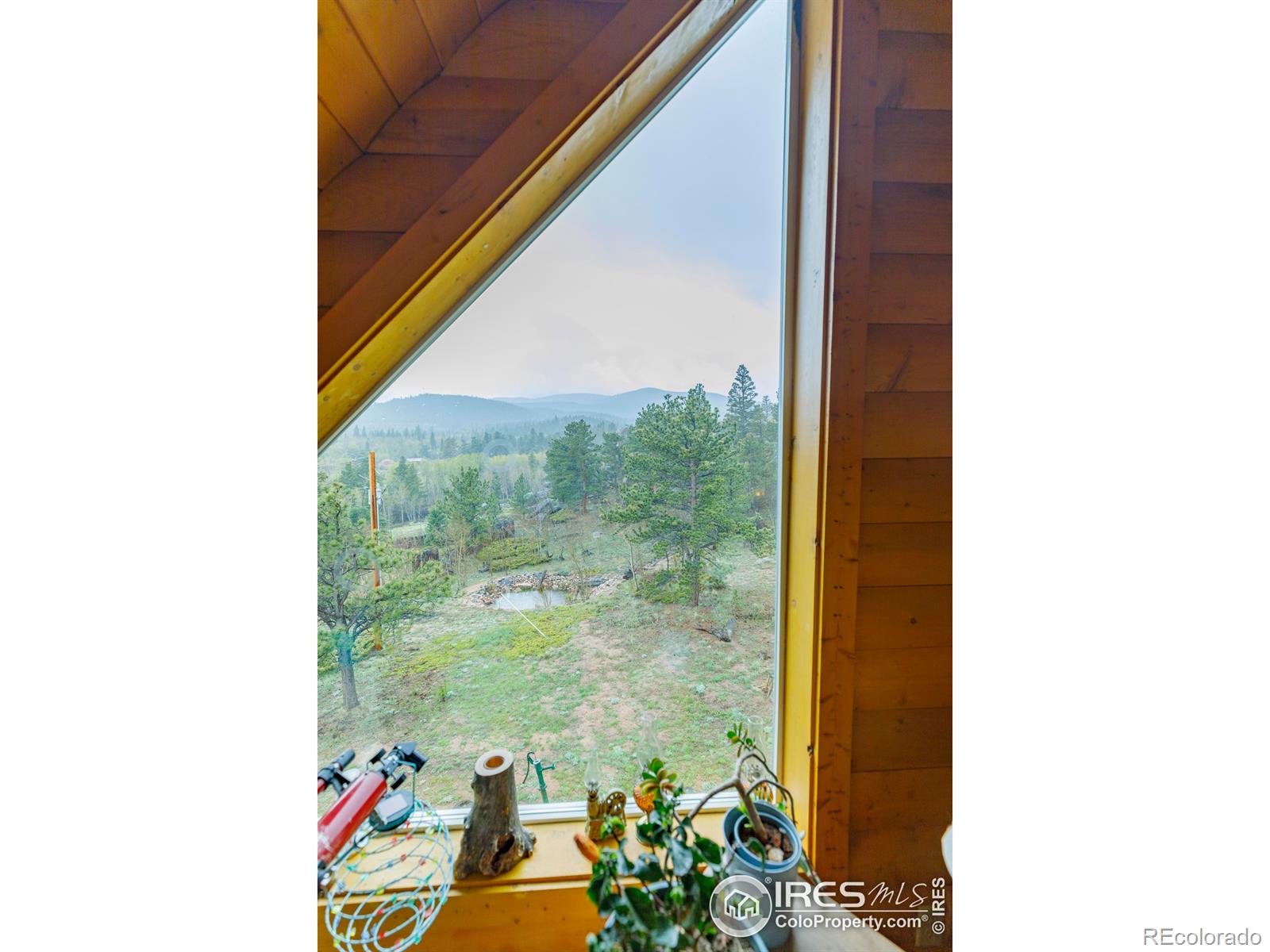 311 Chiricahua Circle Red Feather Lakes CO 80545