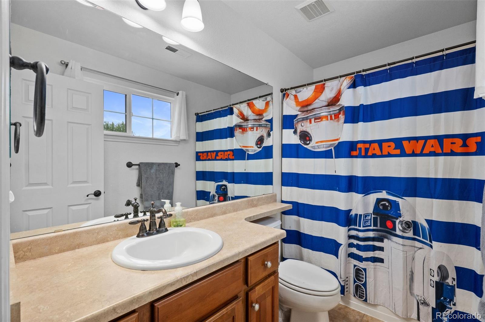 7245 Obsidian Lane Castle Rock CO 80108
