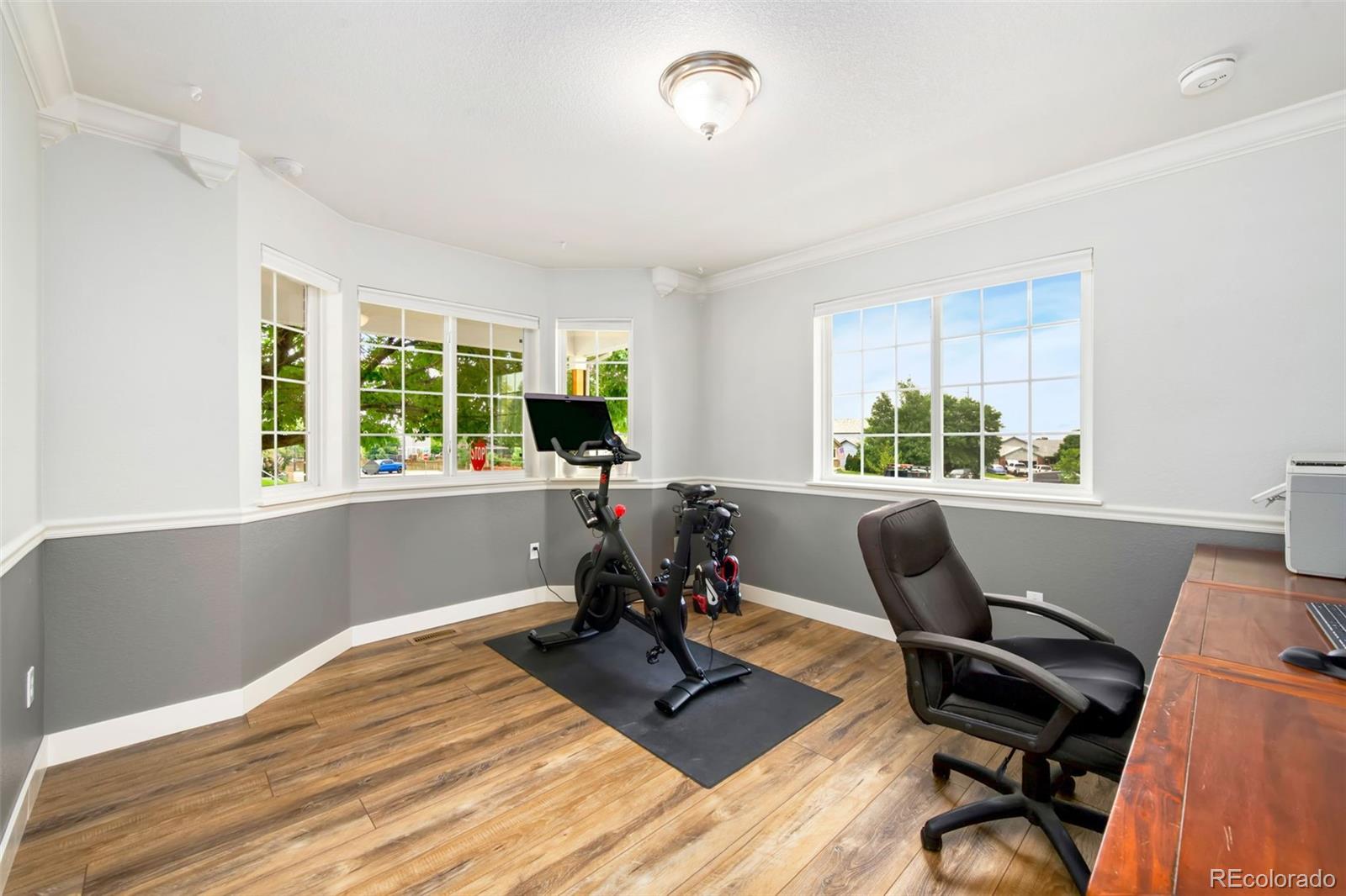 3696 Downieville Street Loveland CO 80538