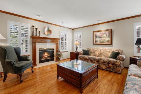 10032 Astoria Court Lone Tree CO 80124