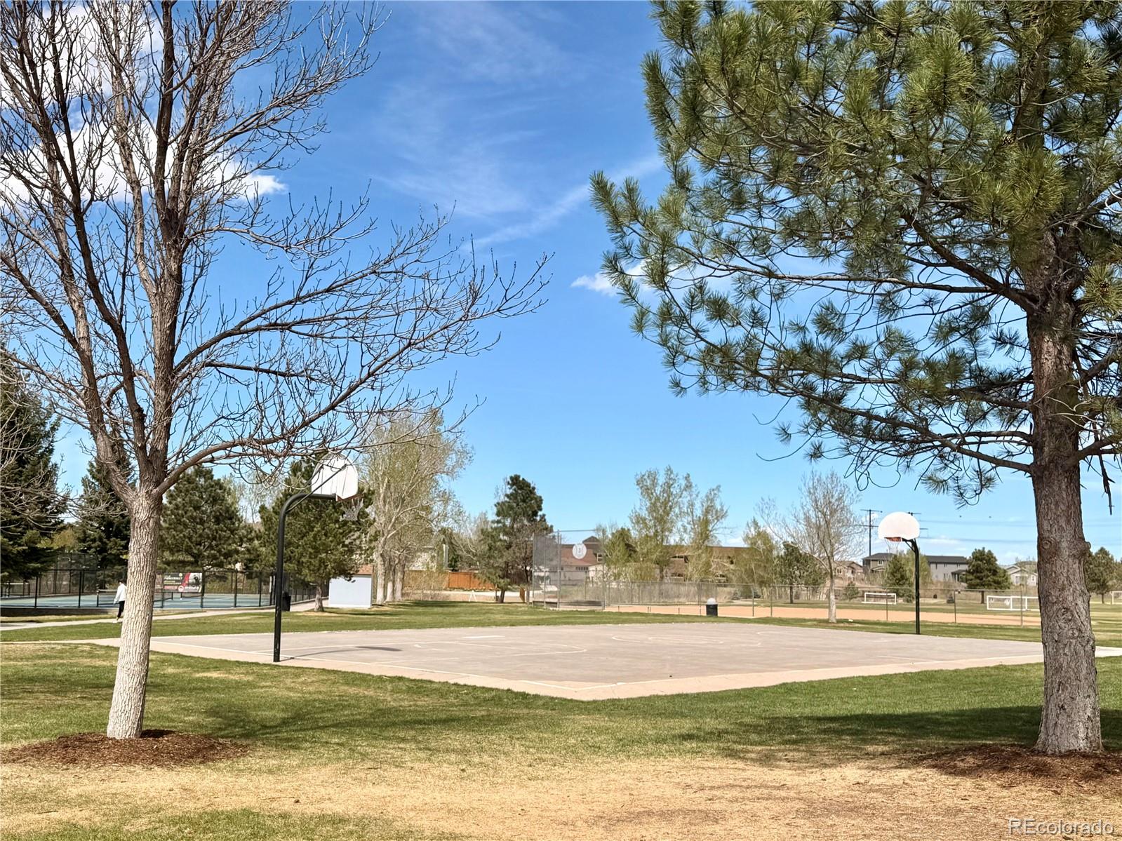 941 Sundown Drive Castle Rock CO 80104