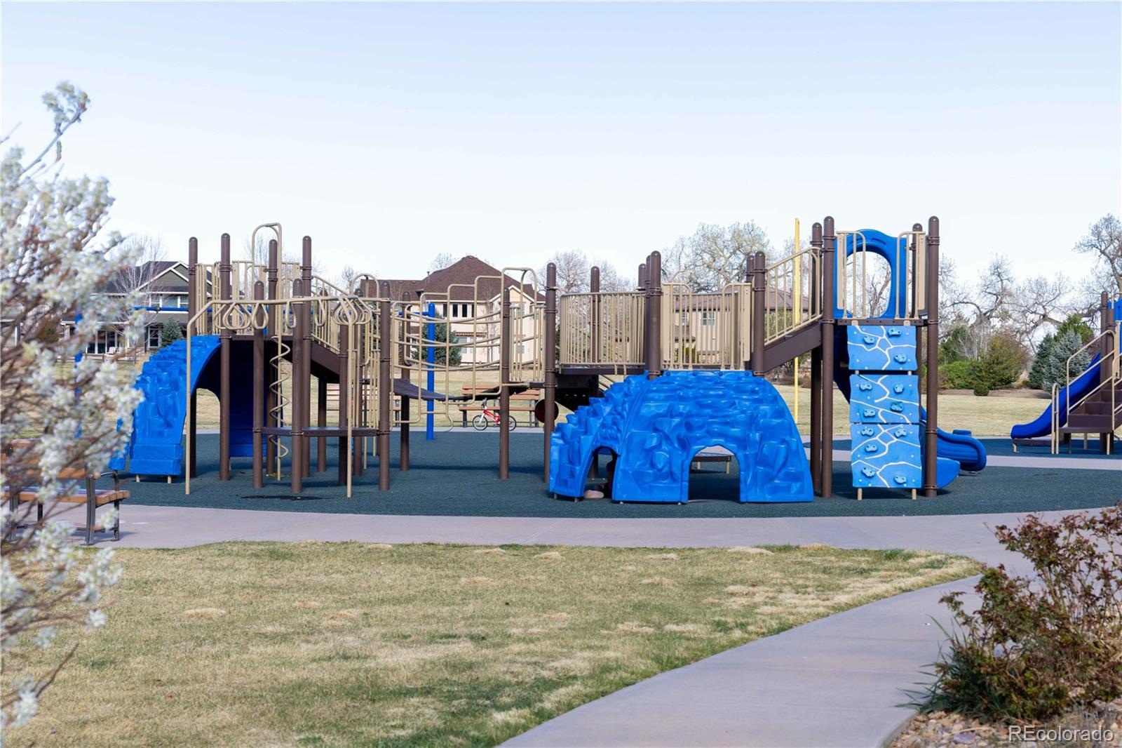 8725 Deframe Court Arvada CO 80005