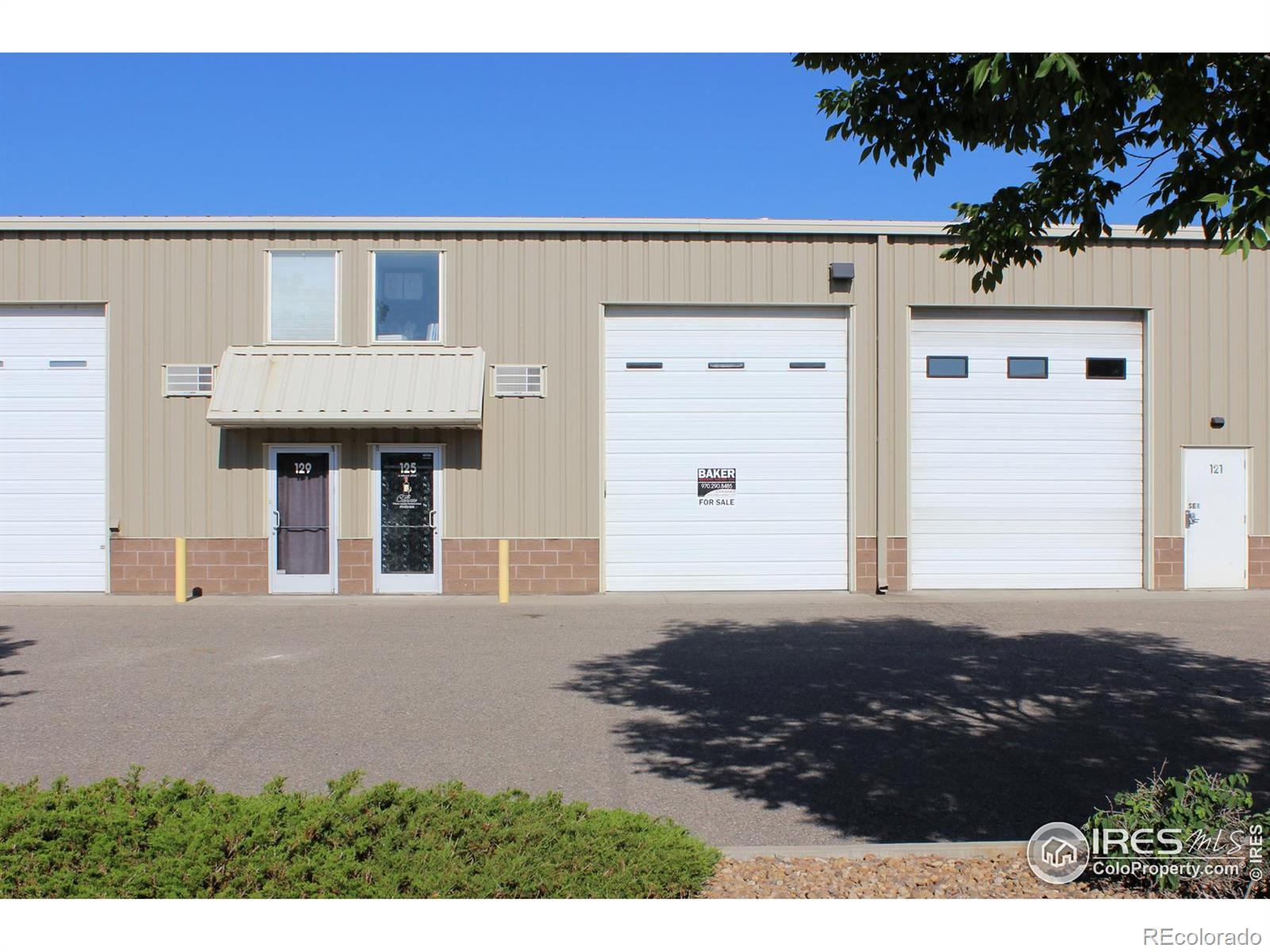 220 12th Street SW Loveland CO 80537