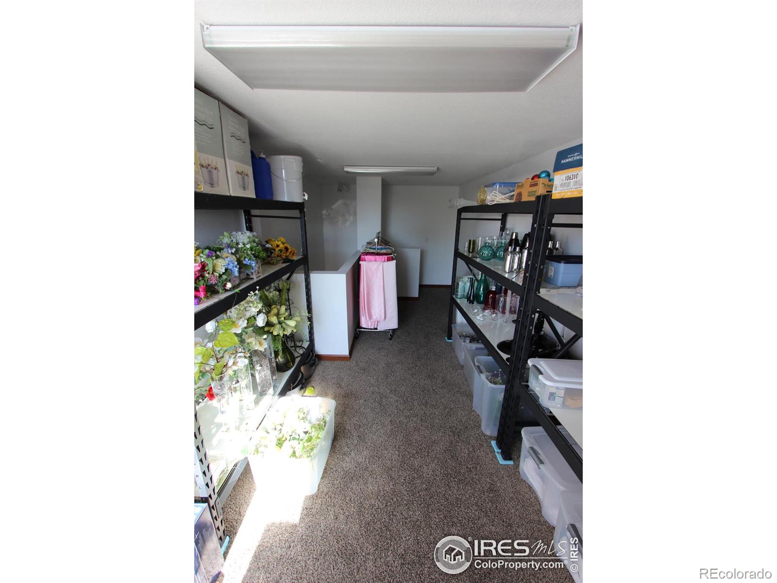 220 12th Street SW Loveland CO 80537