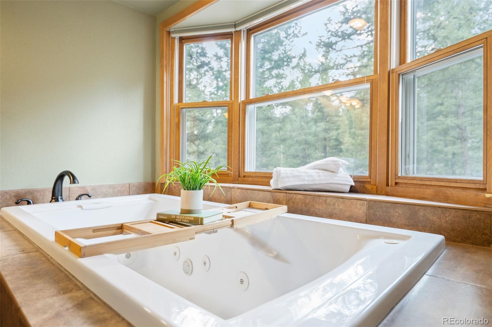 8240 Tim Tam Trail Evergreen CO 80439
