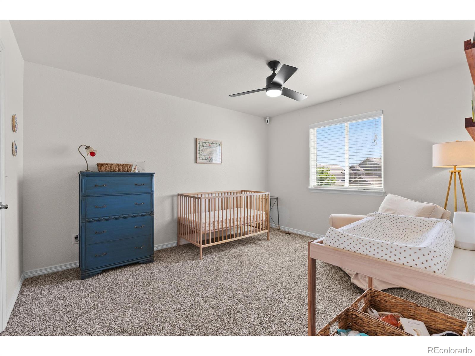 1430 Larimer Ridge Parkway Timnath CO 80547