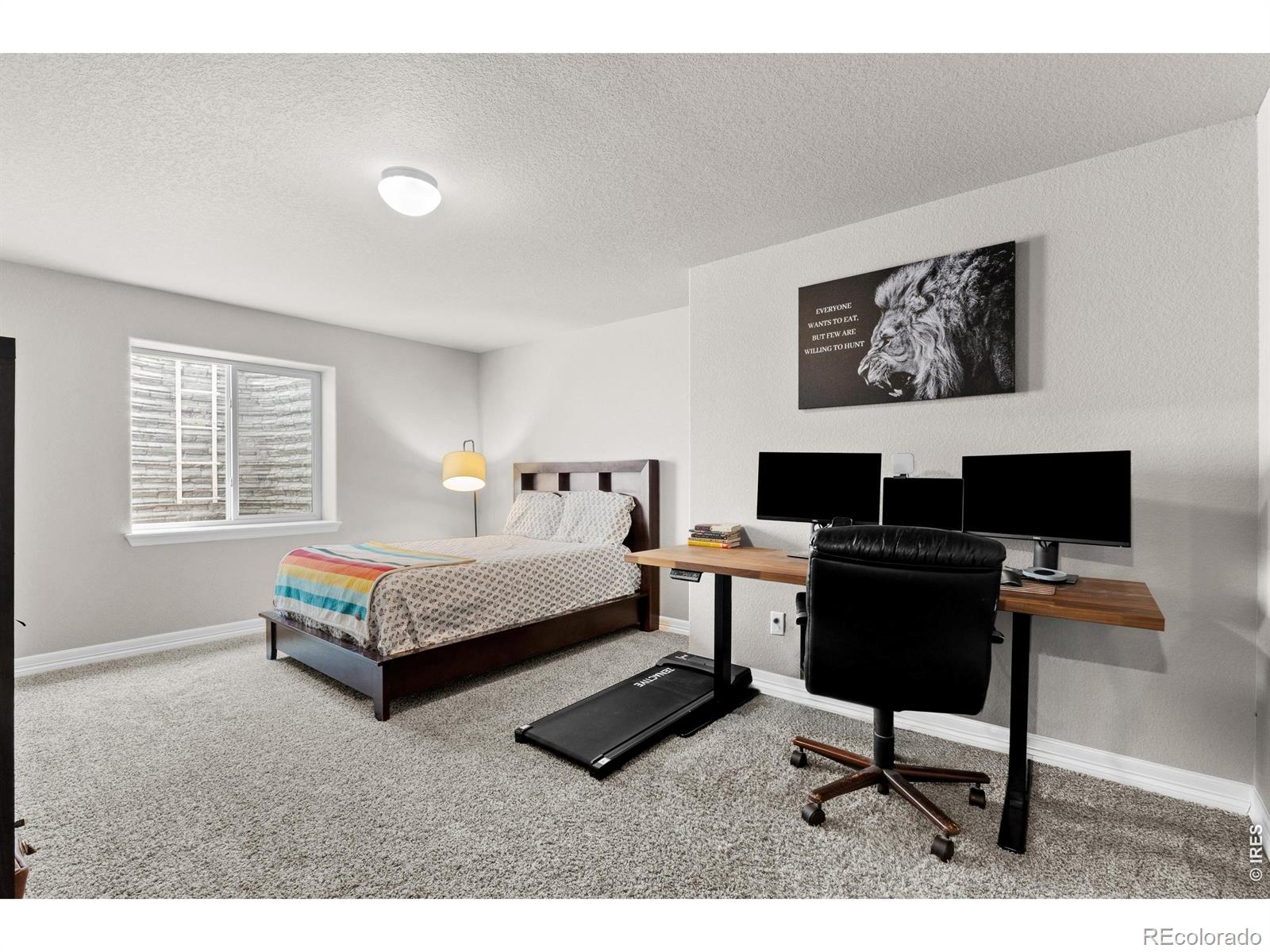 1430 Larimer Ridge Parkway Timnath CO 80547