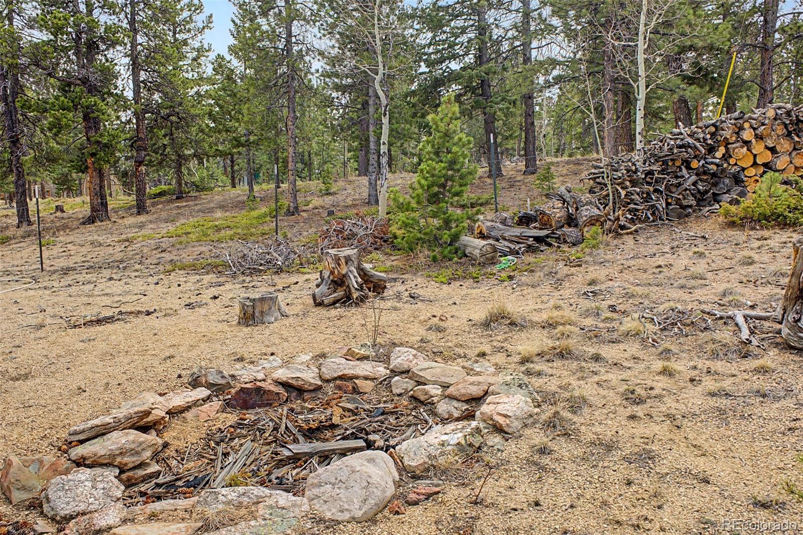76 Highlands Drive Bailey CO 80421
