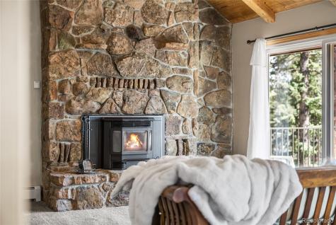 30915 Walter Drive Conifer CO 80433