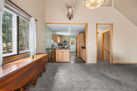 30915 Walter Drive Conifer CO 80433